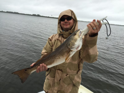 Captain Jason Thompson - On the bay fishing charters - Tampa Florida In-shore Fishing